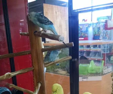 Petco