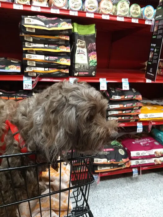 Petco Picture 8
