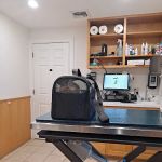 VCA Northboro Animal Hospital
