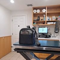 VCA Northboro Animal Hospital ico