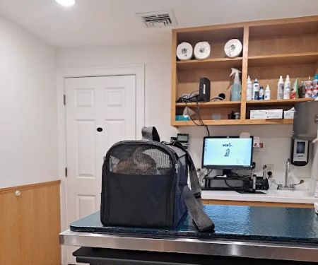 VCA Northboro Animal Hospital