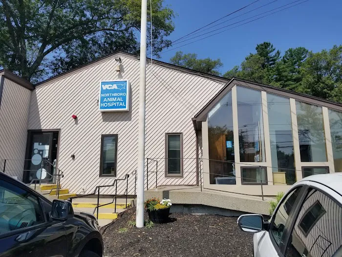 VCA Northboro Animal Hospital Picture 6
