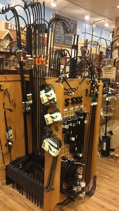 Backyard Bird Shop Vancouver LTD Picture 1