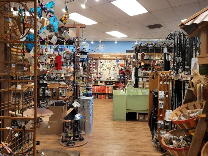 Backyard Bird Shop Vancouver LTD Picture 5