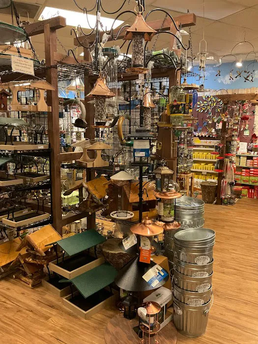 Backyard Bird Shop Vancouver LTD Picture 9