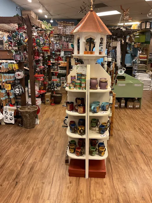 Backyard Bird Shop Vancouver LTD Picture 10