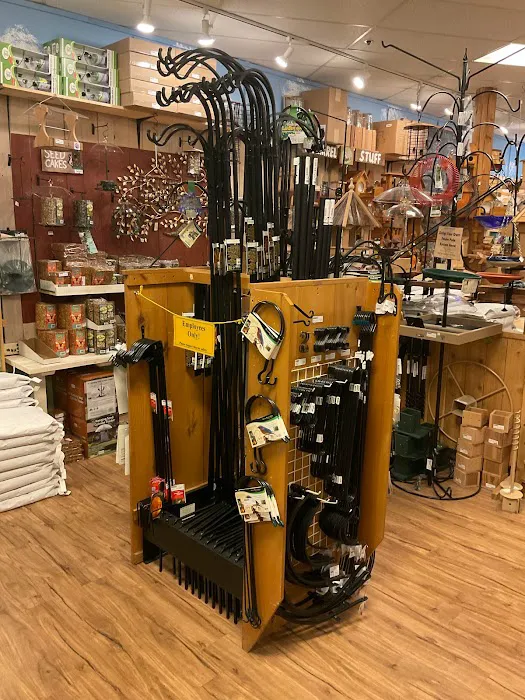 Backyard Bird Shop Vancouver LTD Picture 4