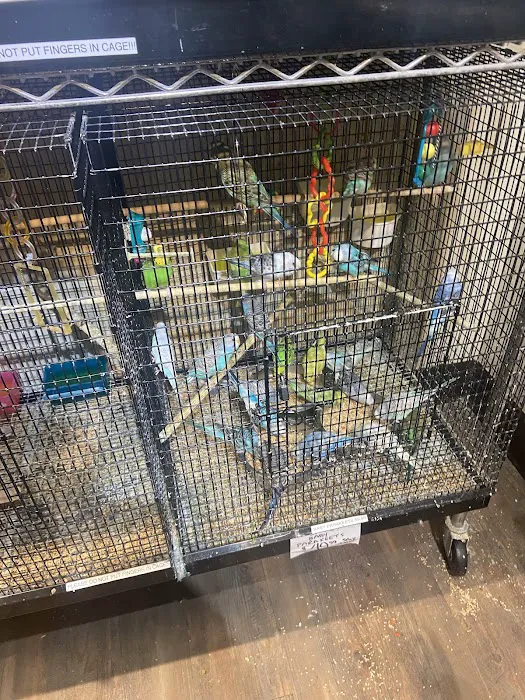 Alley Cat Pet Center Picture 10