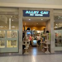 Alley Cat Pet Center ico