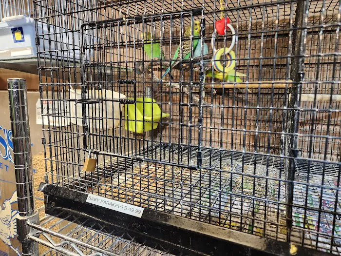 Alley Cat Pet Center Picture 6