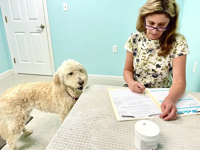 Veterinary Acupuncture & Herbs Picture 1