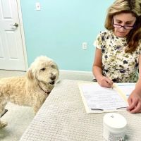 Veterinary Acupuncture & Herbs ico