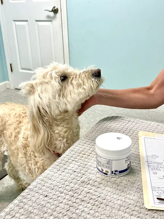 Veterinary Acupuncture & Herbs Picture 2