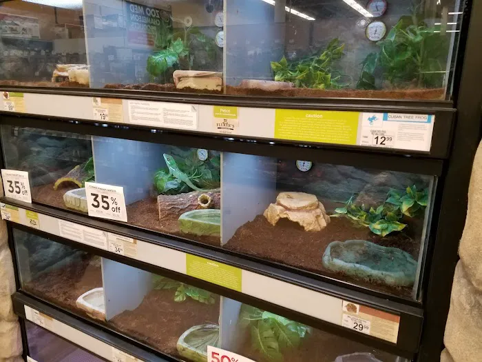 Petco Picture 9