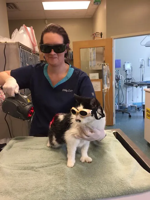 Millis Animal Hospital Picture 8