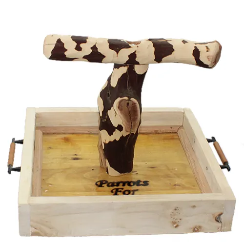 Parrots For Patrios Toys. Picture 2