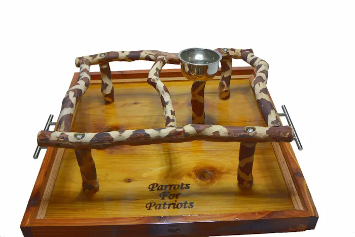 Parrots For Patrios Toys. Picture 9