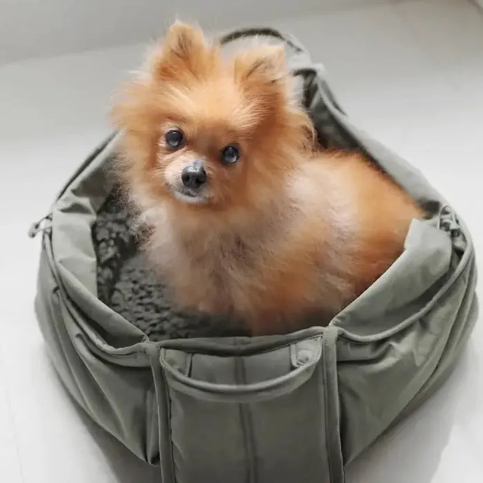 Pine + Paw Picture 9