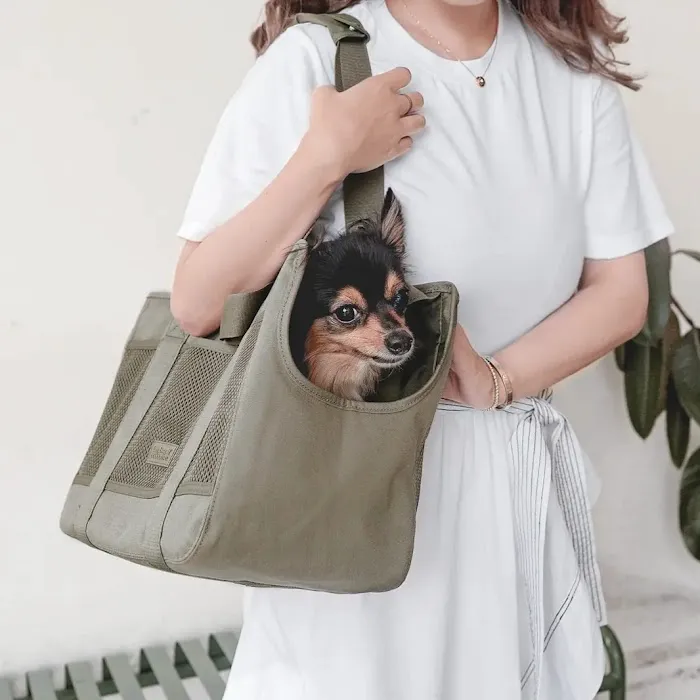 Pine + Paw Picture 8