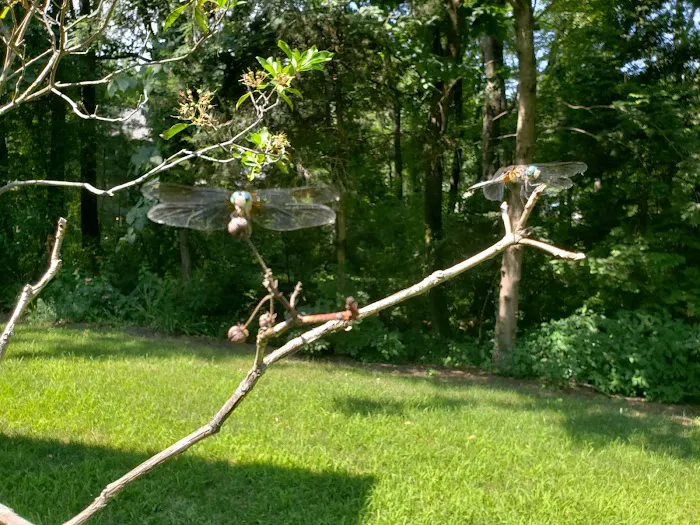 Visiting Veterinarian Picture 1