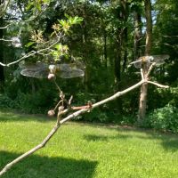 Visiting Veterinarian ico