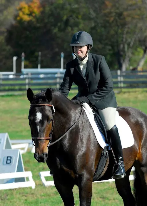 Backstretch Veterinary, Inc Picture 2