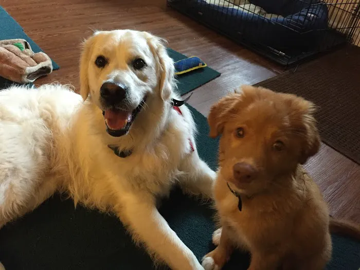Vetco Total Care - Cody Pet Hospital Picture 1