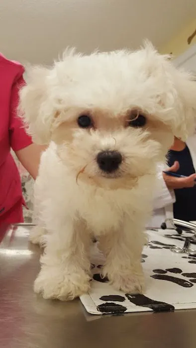 Vetco Total Care - Cody Pet Hospital Picture 9