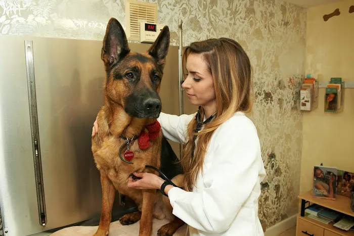 Vetco Total Care - Cody Pet Hospital Picture 7