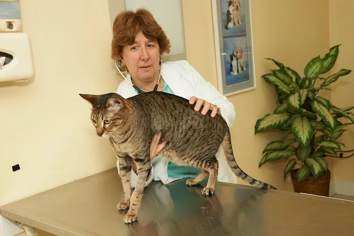 Vetco Total Care - Cody Pet Hospital Picture 2