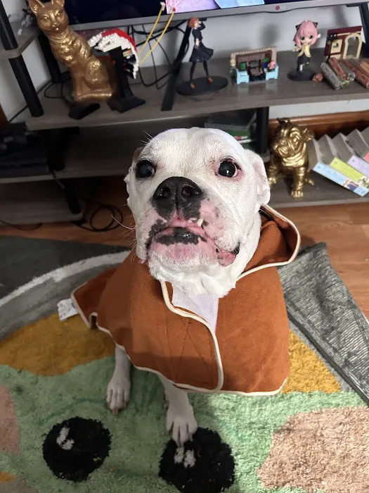 Vetco Total Care - Cody Pet Hospital Picture 3