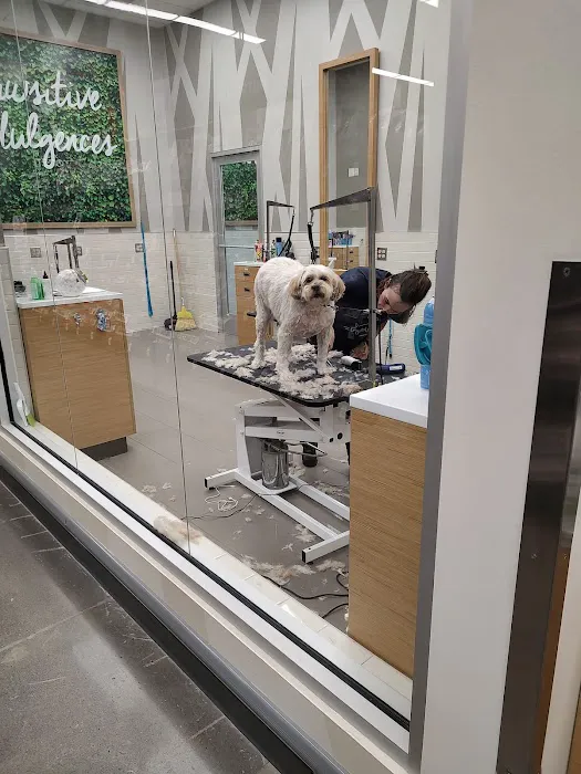 Petco Picture 1