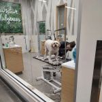 Petco