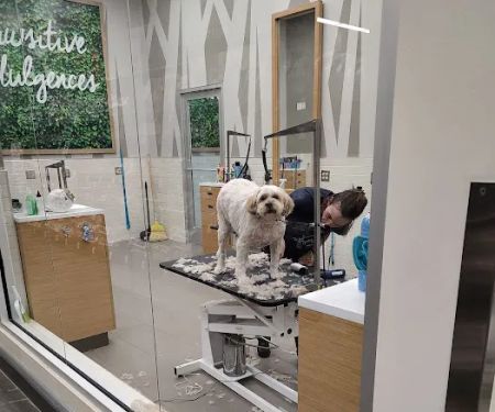 Petco