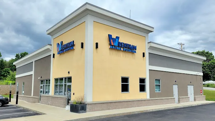 Wrentham Animal Hospital Picture 4
