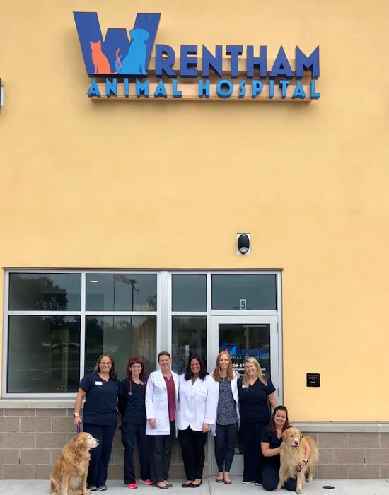 Wrentham Animal Hospital Picture 9