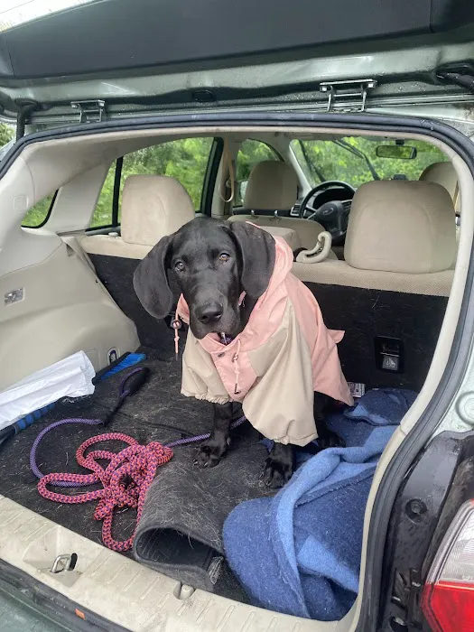 Banfield Pet Hospital Picture 3