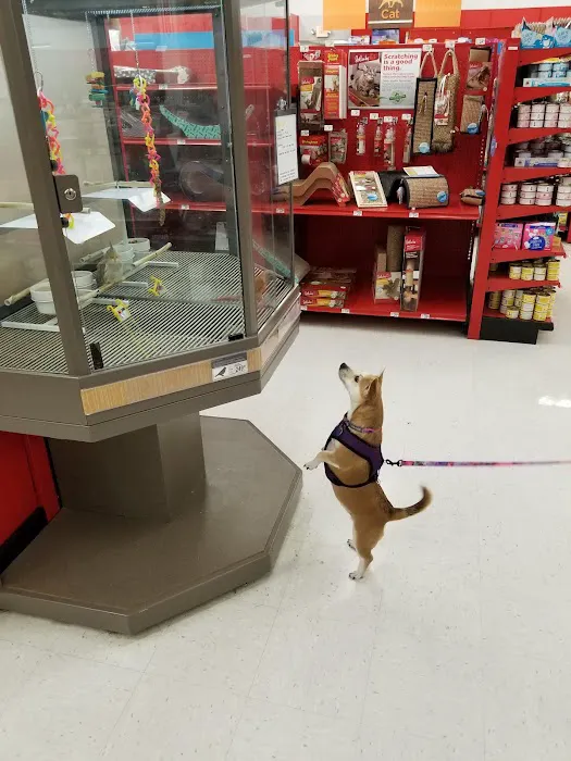Petco Picture 2