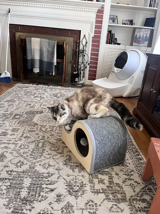 Dewitt Animal Hospital Picture 3