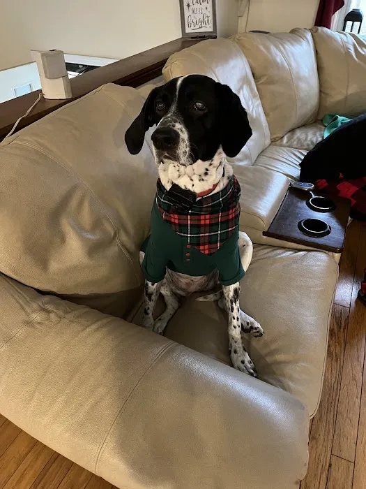 Dewitt Animal Hospital Picture 5