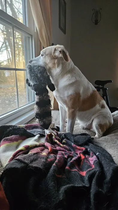 Dewitt Animal Hospital Picture 8