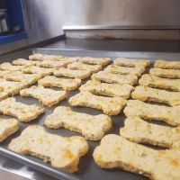 Chase Paw Treats ico