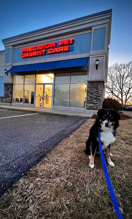 Precision Pet Urgent Care LLC Picture 9
