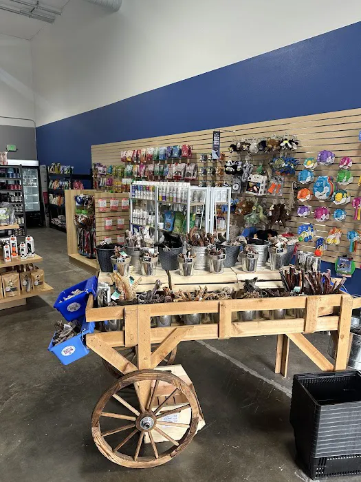 Silver Paws Cat and Dog Picture 2