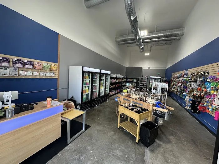 Silver Paws Cat and Dog Picture 1