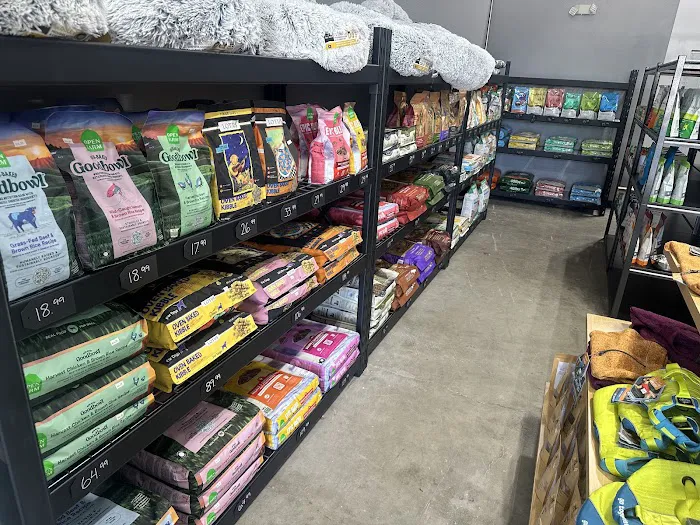 Silver Paws Cat and Dog Picture 6