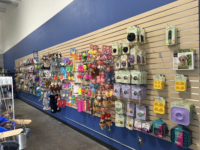 Silver Paws Cat and Dog Picture 8