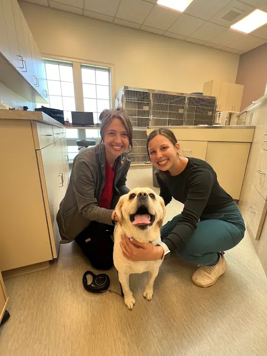 WAGS Animal Hospital Picture 10