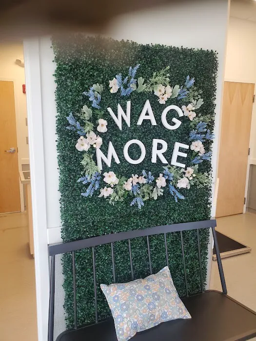 WAGS Animal Hospital Picture 6