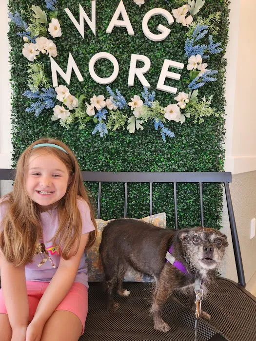 WAGS Animal Hospital Picture 5